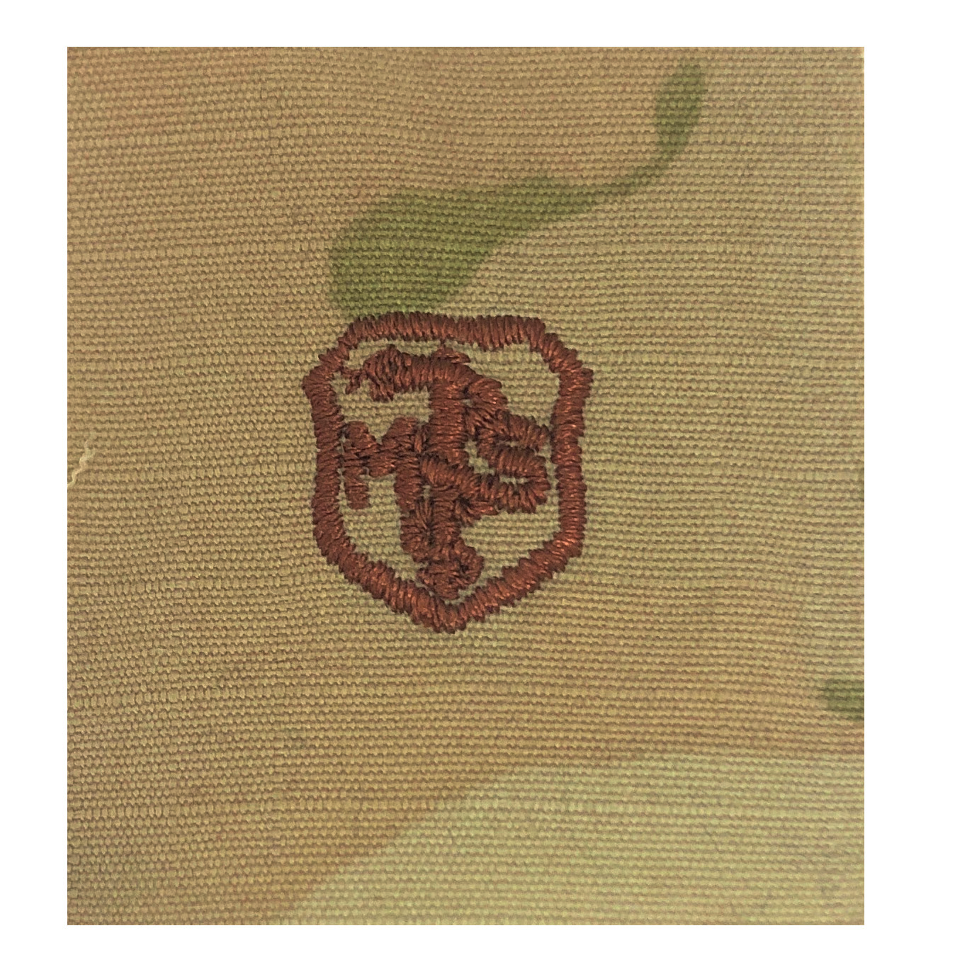 U.S. Air Force Medical Service Corps (Basic) OCP Spice Brown Badge - Sta-Brite Insignia Inc.