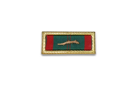 Vietnam Civil Action Unit Citation with Palm - Sta-Brite Insignia Inc.