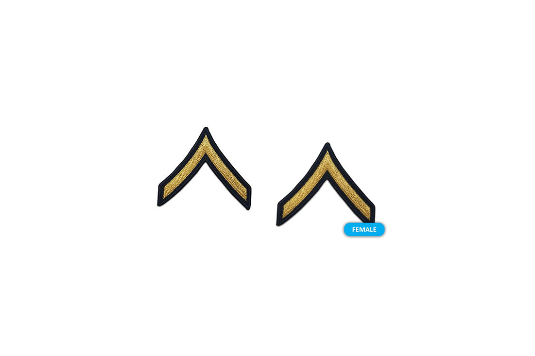 U.S. Army E2 Private Gold on Blue Sew-on - Female (Small) - Sta-Brite Insignia Inc.