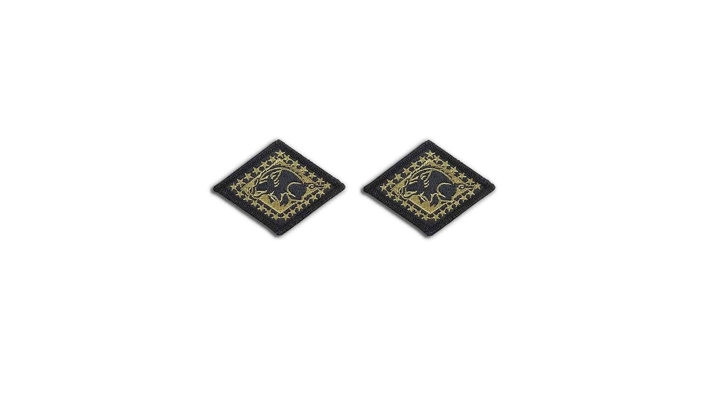 U.S. Army Arkansas National Guard OCP Patch with Hook Fastener (pair) - Sta-Brite Insignia Inc.