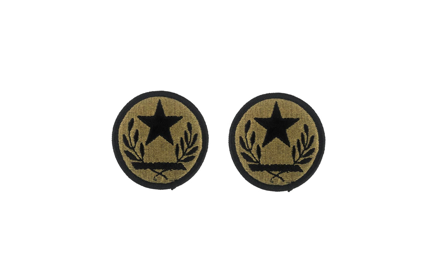 Texas Army National Guard OCP Patch w/Hook Fastener (prs) - Sta-Brite Insignia Inc.