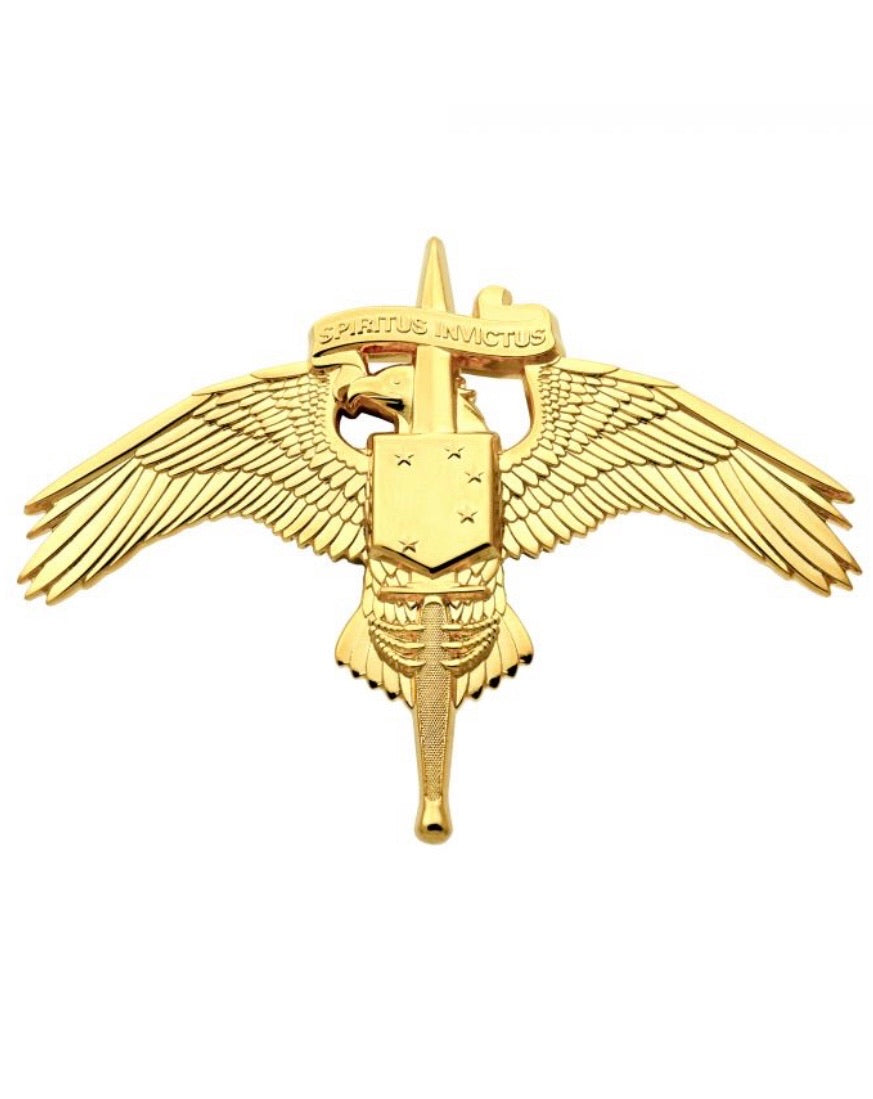 U.S. marine Corps MARSOC Badge Marine Forces Special Operations Command Full size Brite - Sta-Brite Insignia Inc.