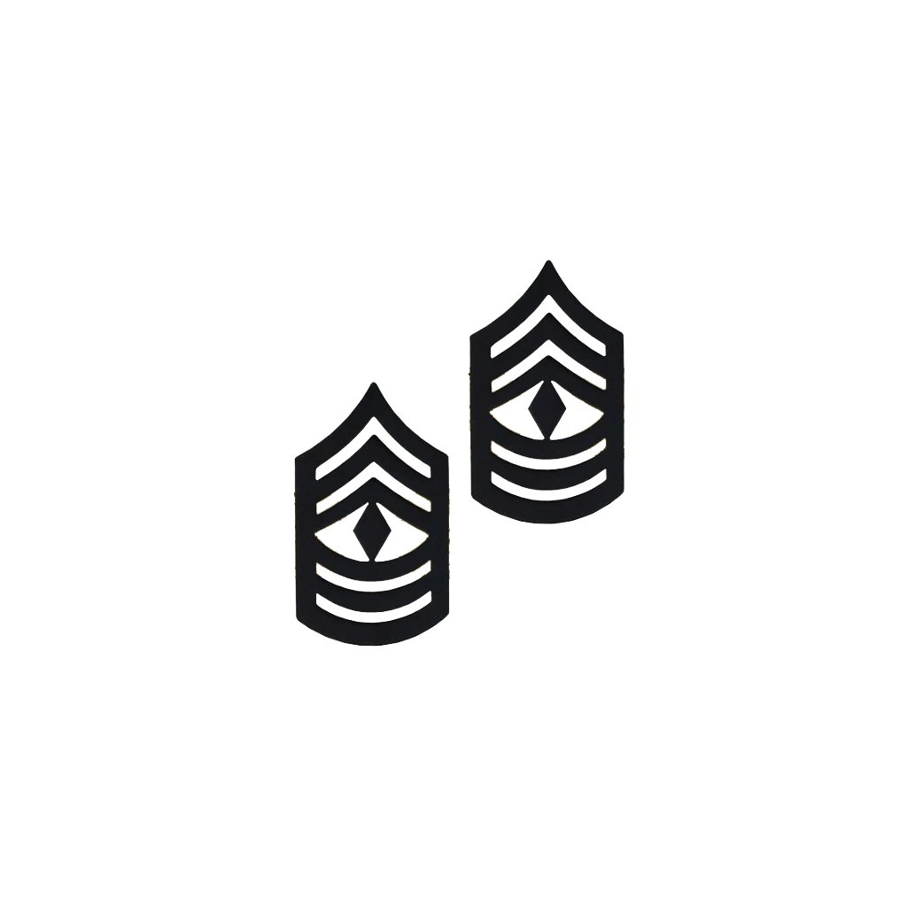 PAIRE DE GRADE de SERGEANT US ARMY WW II EUR 20,00 - FR PAIRE DE GRADE de SERGEANT US ARMY WW II EUR 20,00 - FR