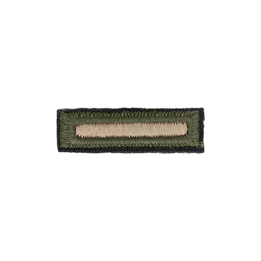 U.S. Army Overseas Service Bar AGSU Large