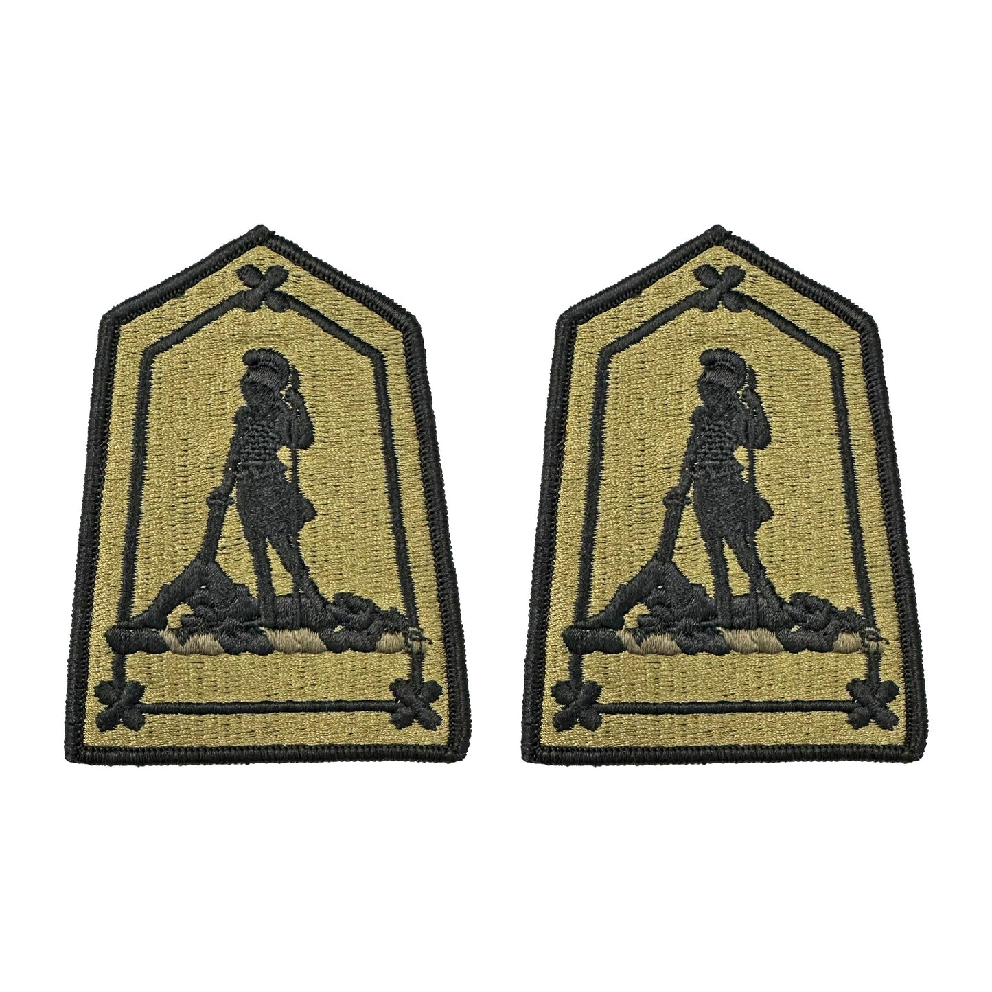 U.S. Army Virginia National Guard OCP Patch with Hook Fastener (pair)