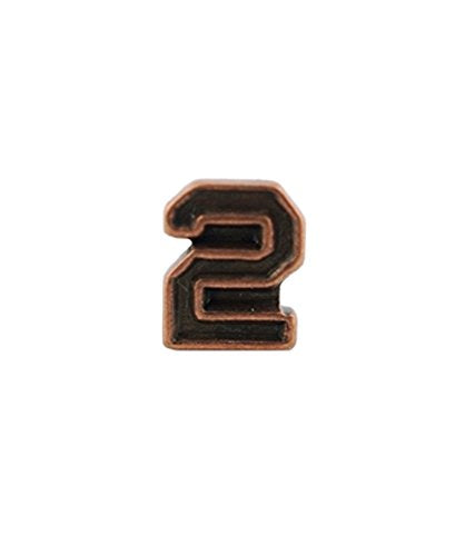 US Army Numeral 2 3/16in Bronze Ribbon Device