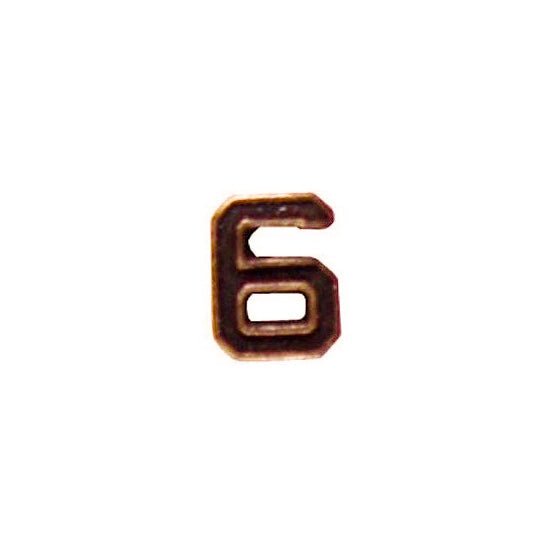 US Army Numeral 6 3/16in Bronze Ribbon Device