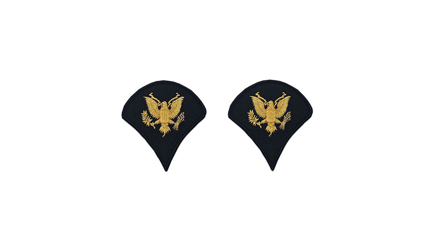 U.S. Army E4 Specialist Gold on Blue Sew-on - Large/Male