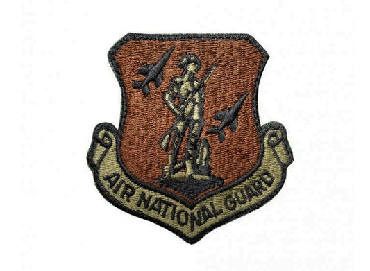 U.S. Air Force Air National Guard OCP Scorpion Spice Brown Patch with Hook Fastener
