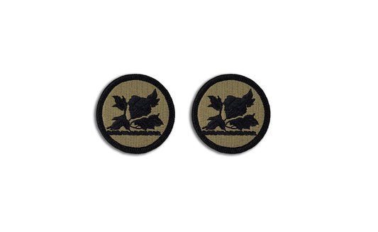 U.S. Army Alabama National Guard OCP Patch with Hook Fastener (pair)