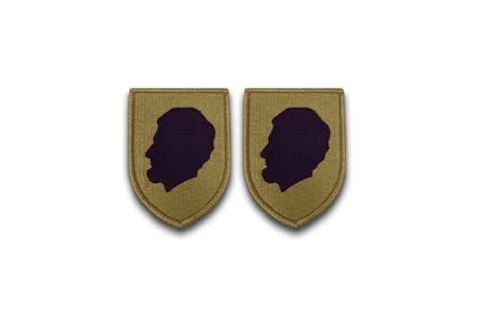 U.S. Army Illinois National Guard OCP Patch with Hook Fastener (pair)