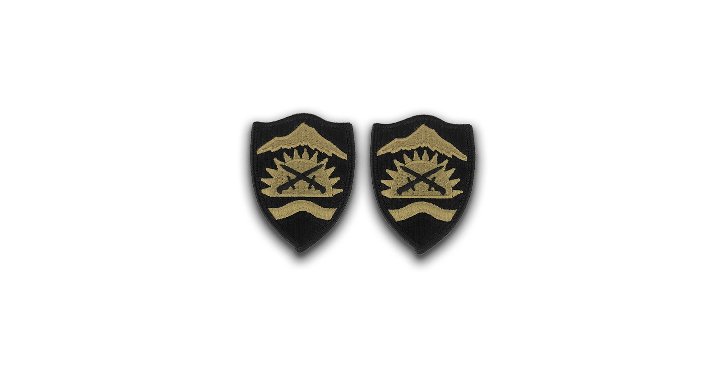 U.S. Army Oregon National Guard OCP Patch with Hook Fastener (pair)