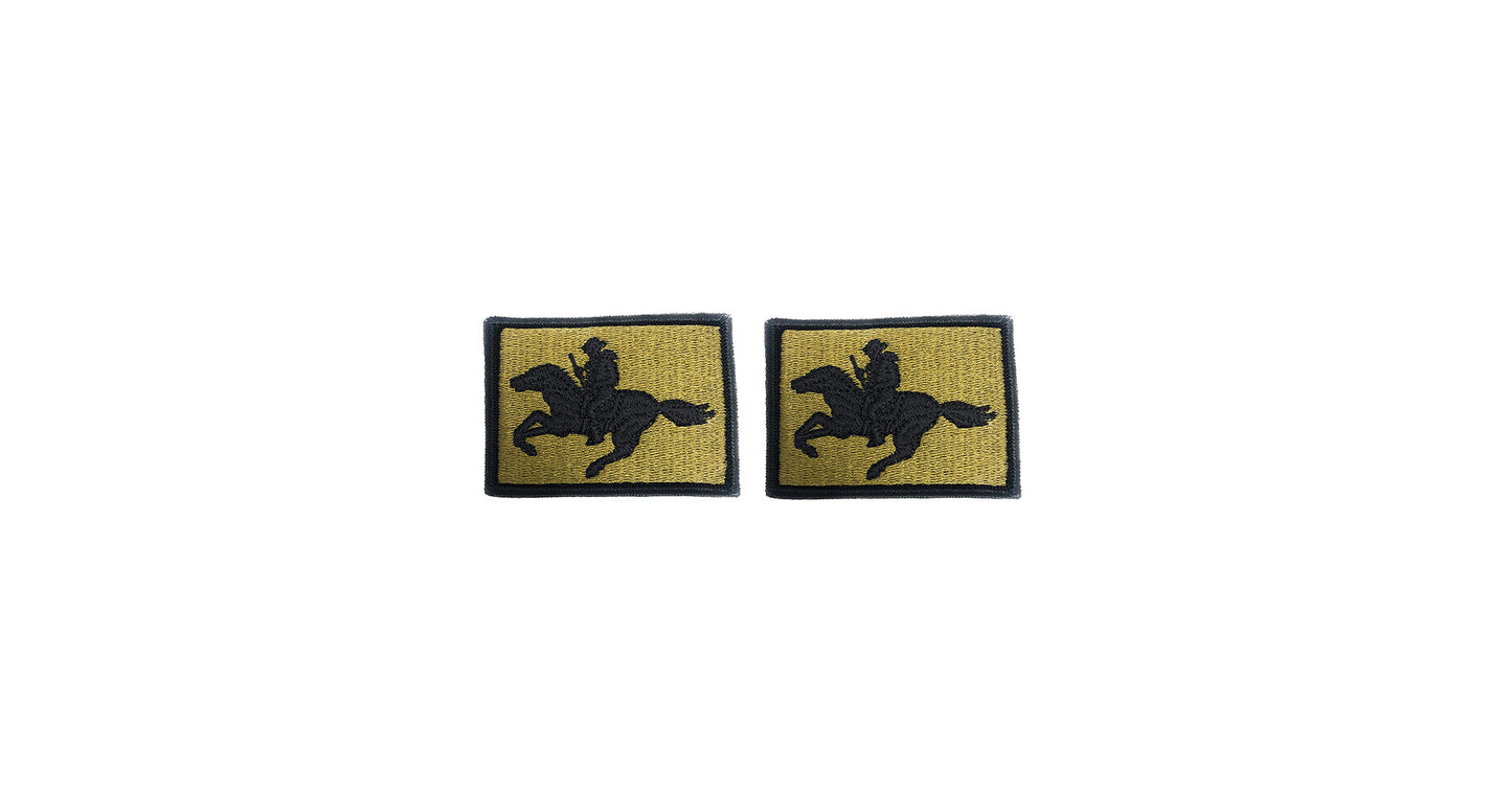 U.S. Army Wyoming National Guard OCP Patch with Hook Fastener (pair)
