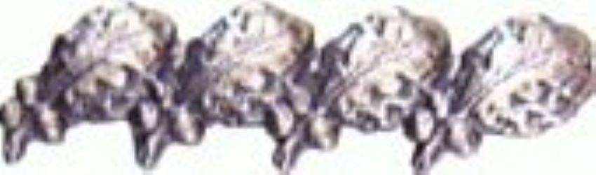 US Army Oak Leaf Cluster 5/16 Quad Silver Ribbon Device - Sta-Brite Insignia Inc.