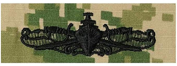 Surface Warfare Officer Pin